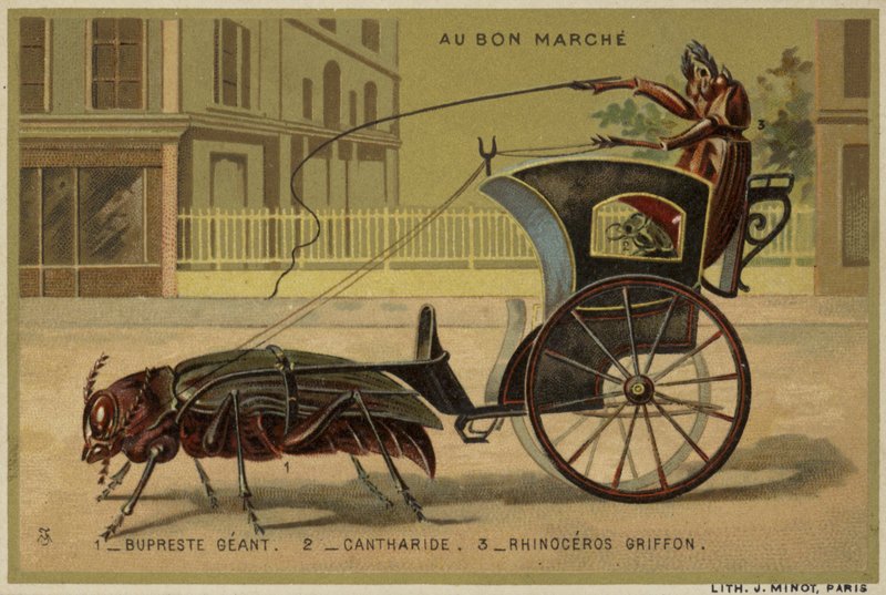 Karty Au Bon Marche przedstawiające antropomorficzne owady autorstwa French School