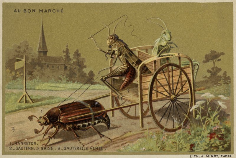 Karty Au Bon Marche przedstawiające antropomorficzne owady autorstwa French School