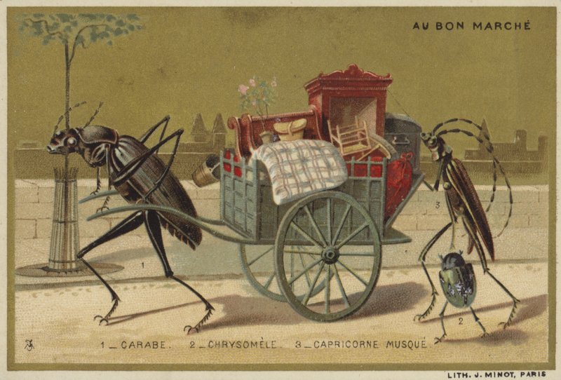 Karty Au Bon Marche przedstawiające antropomorficzne owady autorstwa French School