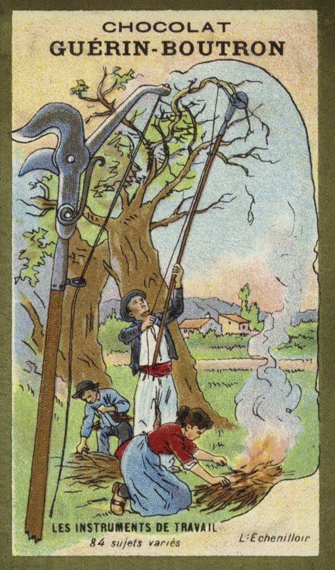 Sekator na drągu autorstwa French School