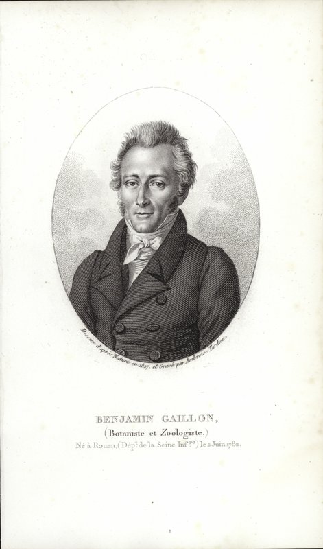 Benjamin Gaillon autorstwa French School
