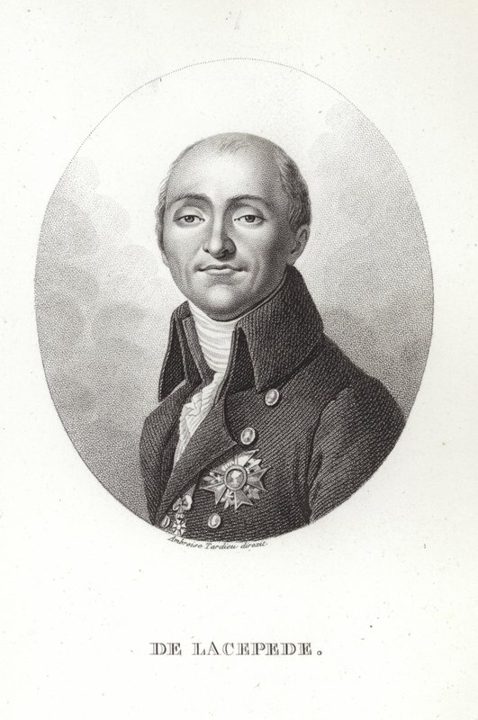 Bernard Germain de Lacepede autorstwa French School