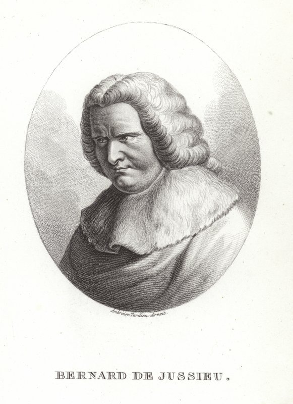 Bernard de Jussieu autorstwa French School