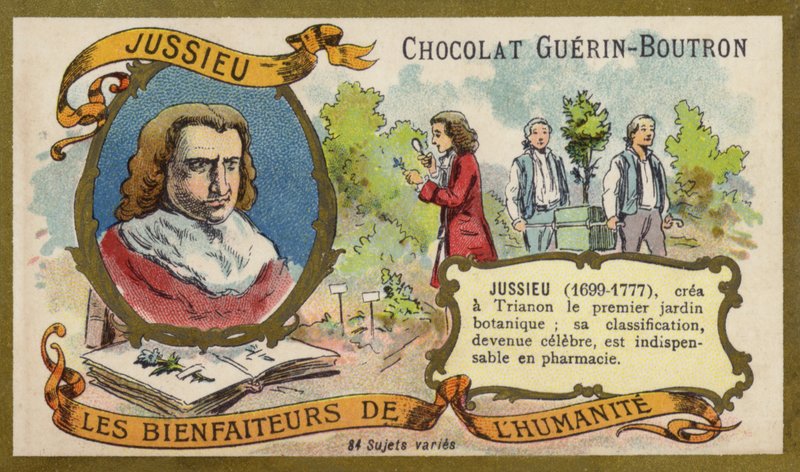 Bernard de Jussieu, francuski przyrodnik (chromolitho) autorstwa French School