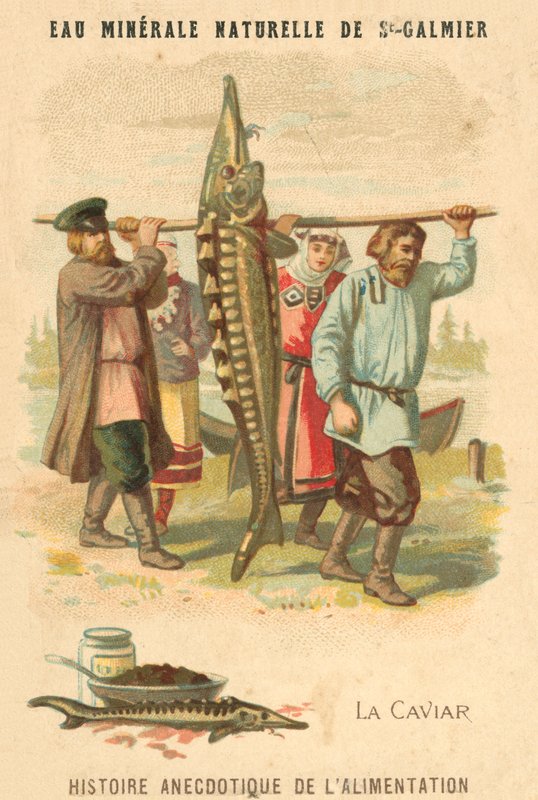 Kawior (chromolitho) autorstwa French School