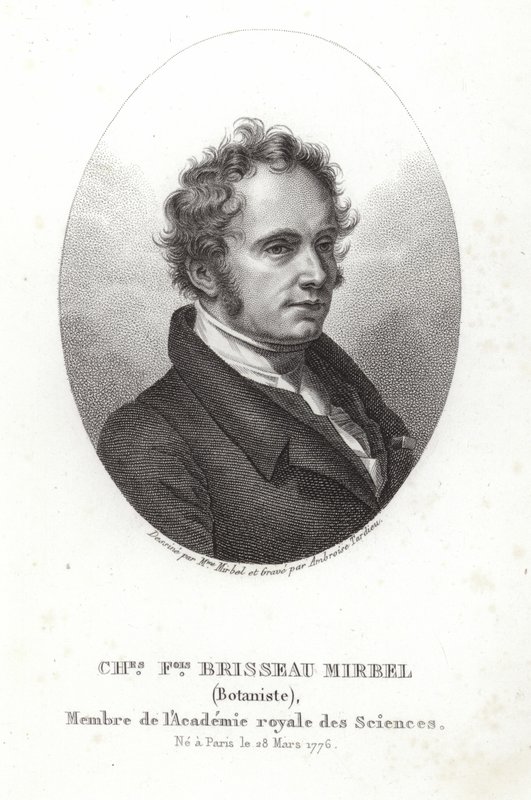 Charles-Francois Brisseau de Mirbel autorstwa French School
