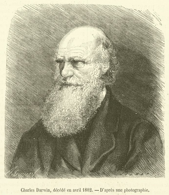 Karol Darwin, decede en avril 1882 (grawerowanie) autorstwa French School