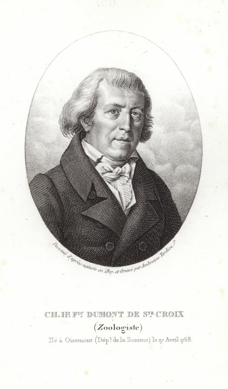 Charles Dumont z Sainte-Croix autorstwa French School