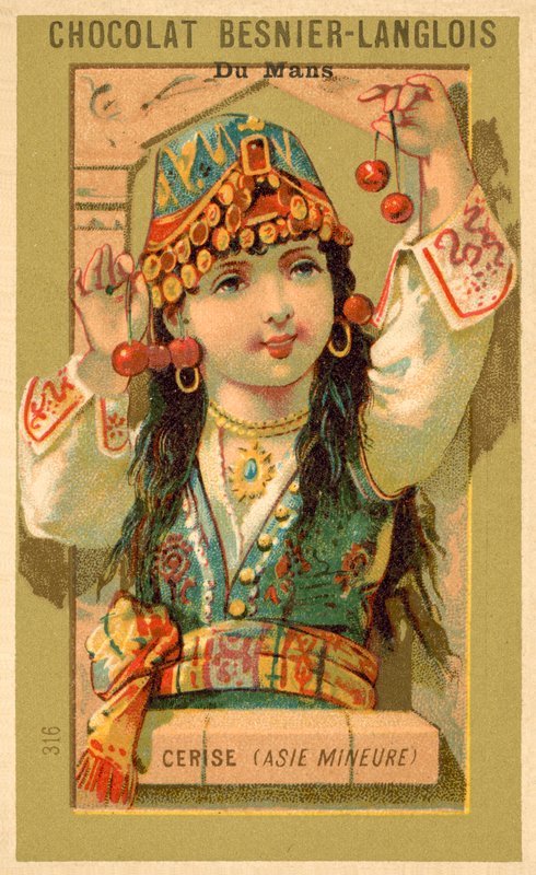 Wiśnie z Azji Mniejszej (chromolitho) autorstwa French School