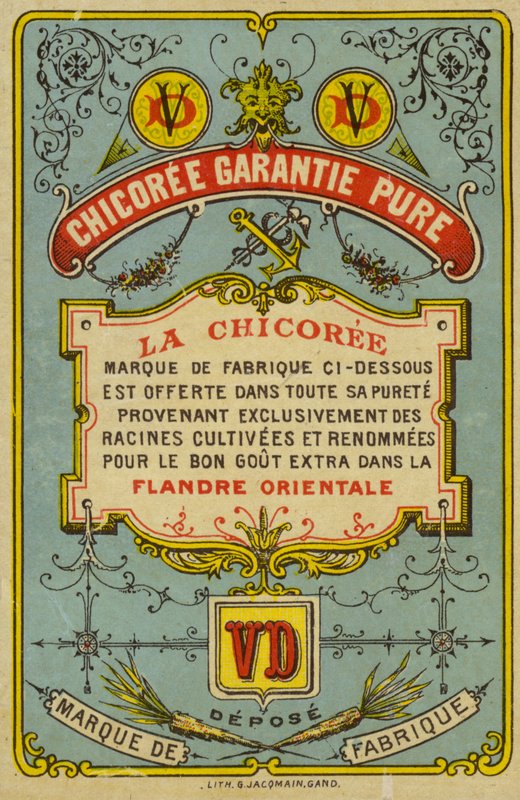 czysta cykoria gwarantowana autorstwa French School