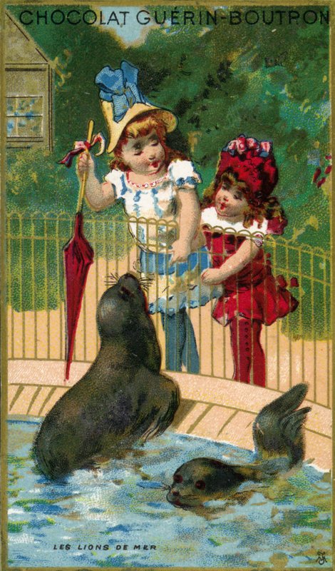Dzieci w zoo, patrzące na lwy morskie autorstwa French School