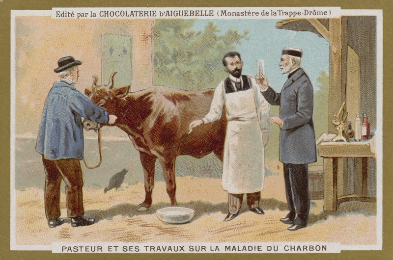 Karta handlowa Chocolat dAiguebelle autorstwa French School