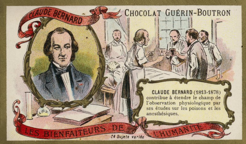 Claude Bernard, francuski fizjolog (chromolitho) autorstwa French School