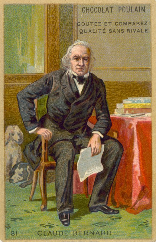 Claude Bernard, francuski fizjolog autorstwa French School