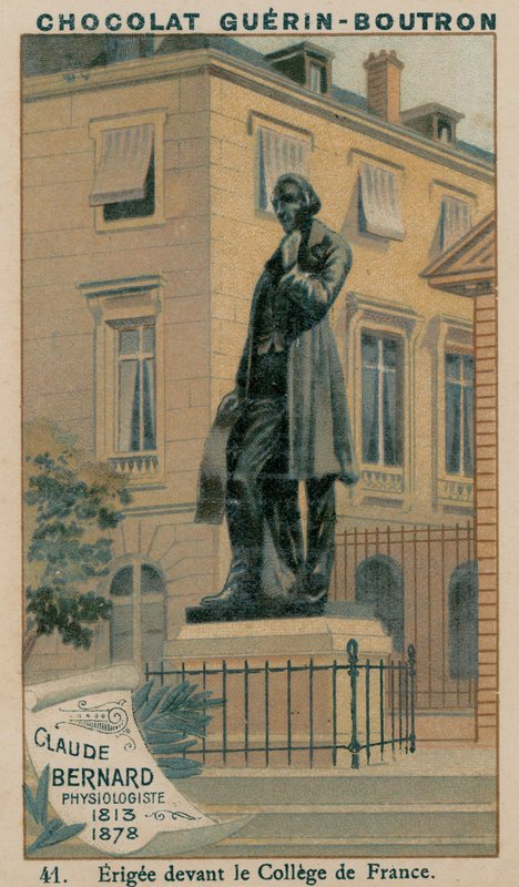 Claude Bernard, fizjolog, 1813-1878, wzniesiony przed College de France autorstwa French School