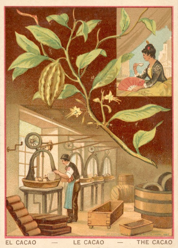 Kakao (chromolitho) autorstwa French School