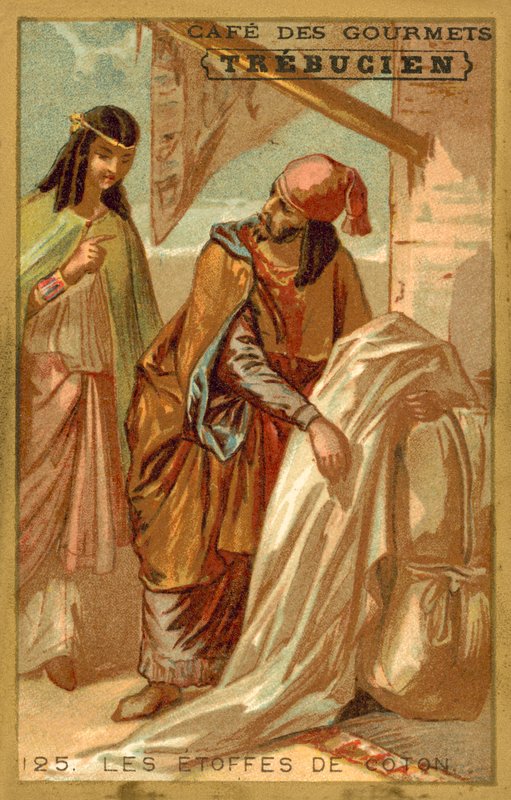 Tkaniny bawełniane (chromolitho) autorstwa French School