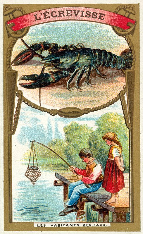 Raki (chromolitho) autorstwa French School