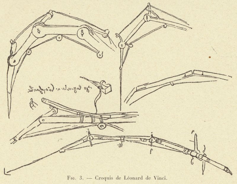 szkic Leonarda da Vinci autorstwa French School