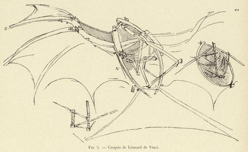 szkic Leonarda da Vinci autorstwa French School