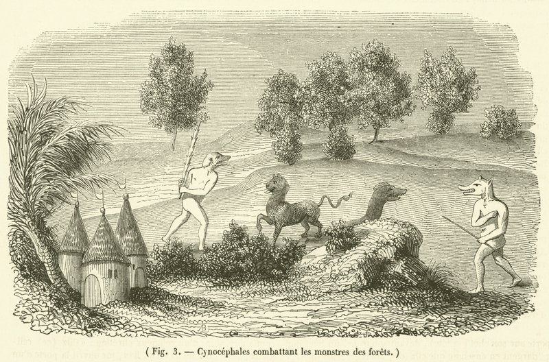 Cynocefale walczące z leśnymi potworami (rycina) autorstwa French School