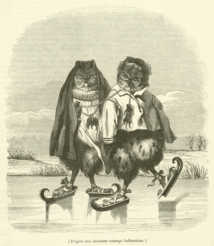 Ze starej holenderskiej ryciny (grafika) autorstwa French School