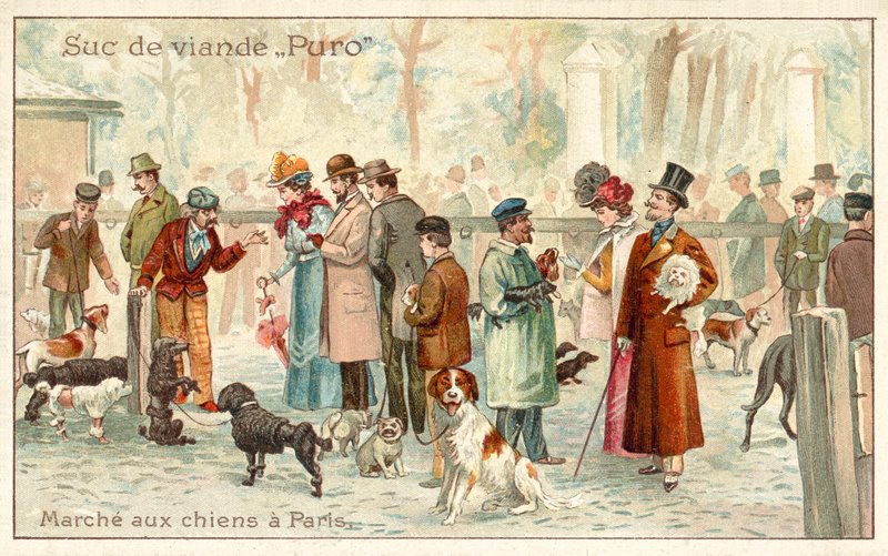 Targ psów, Paryż (chromolitho) autorstwa French School