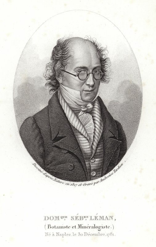 Dominique Sebastion Leman autorstwa French School