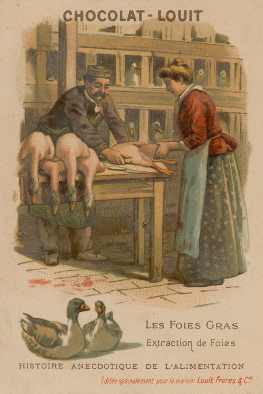 foie gras autorstwa French School