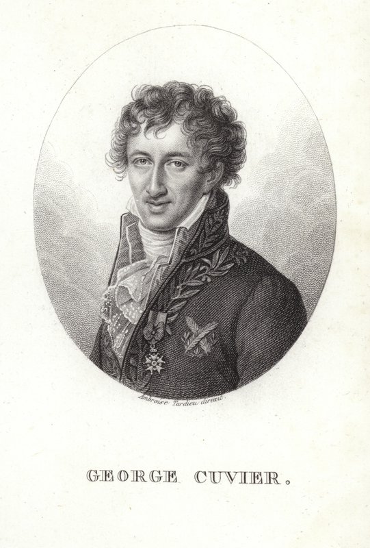 George Cuvier autorstwa French School