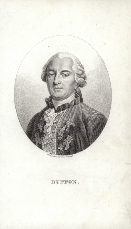 Georges-Louis Leclerc autorstwa French School