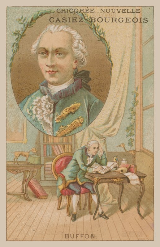 Georges-Louis Leclerc, hrabia de Buffon, francuski naukowiec i pisarz z XVIII wieku autorstwa French School