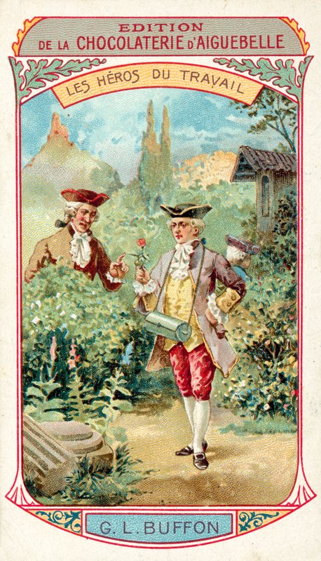 Georges-Louis Leclerc, hrabia de Buffon, francuski przyrodnik (chromolitho) autorstwa French School