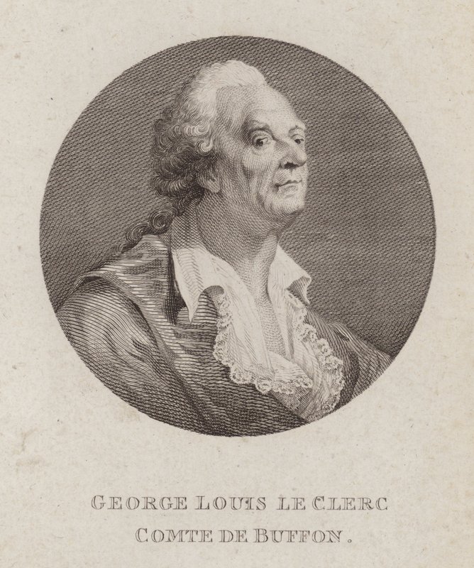 Georges-Louis Leclerc, hrabia de Buffon, francuski przyrodnik (grafika) autorstwa French School