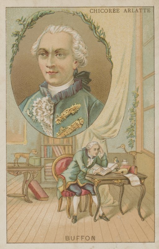 Georges-Louis Leclerc, hrabia Buffon, francuski przyrodnik autorstwa French School