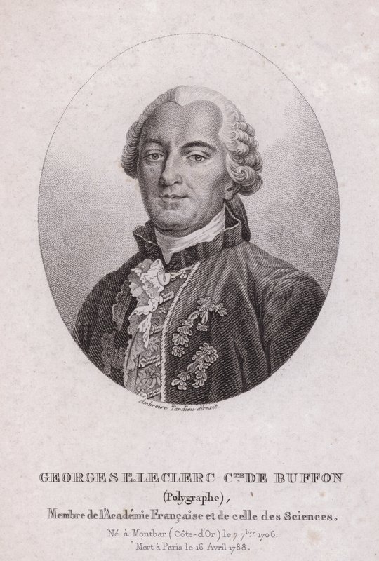 Georges-Louis Leclerc, hrabia de Buffon, francuski naukowiec i pisarz (grafika) autorstwa French School