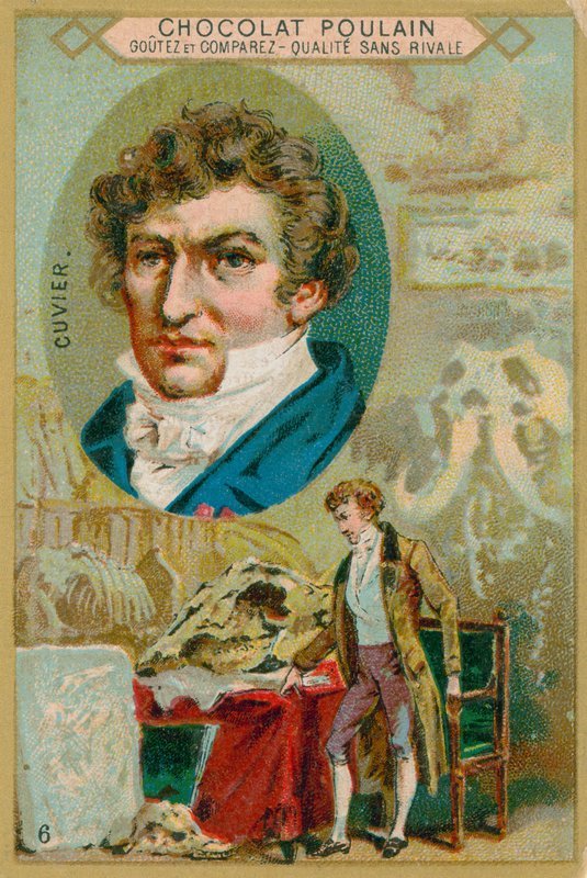 George Cuvier autorstwa French School