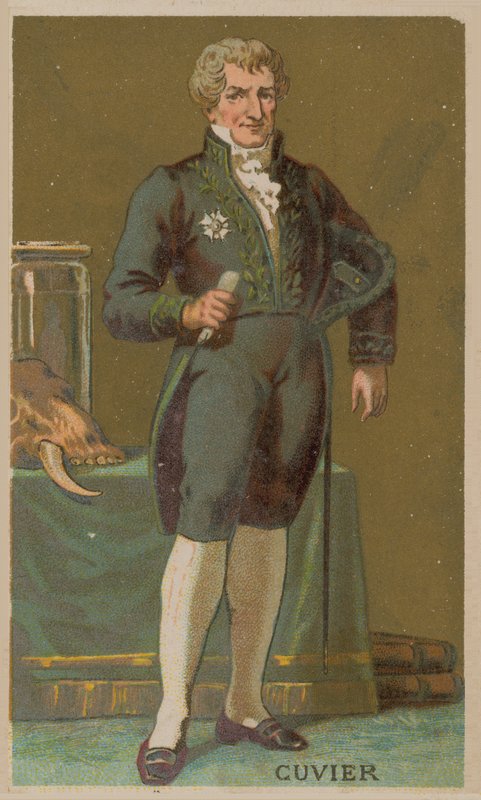 Georges Cuvier, francuski przyrodnik i zoolog (1769-1832) autorstwa French School