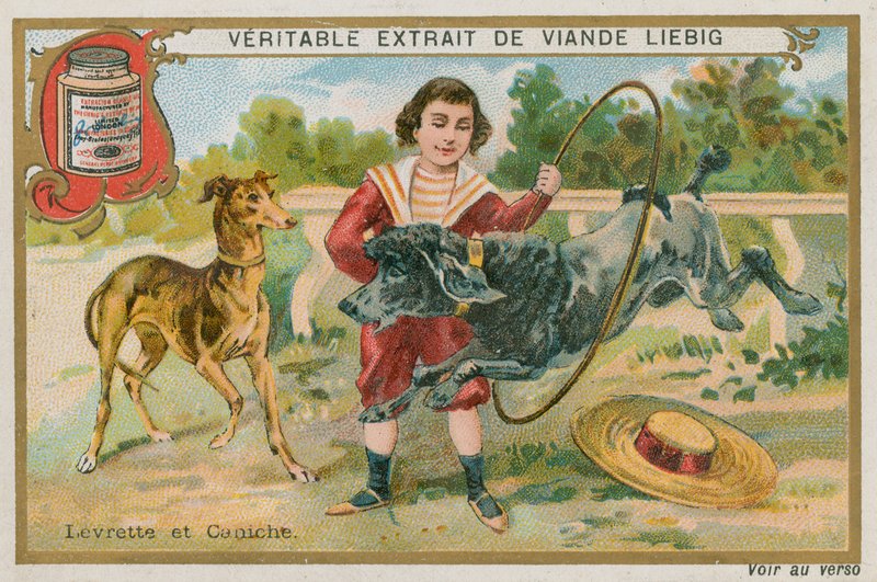 Chart i Pudel autorstwa French School