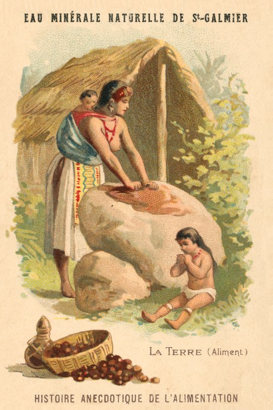 Orzechy mielone (chromolitho) autorstwa French School