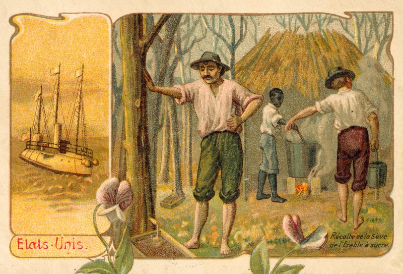 Zbieranie soku klonowego na syrop klonowy, Stany Zjednoczone (chromolitho) autorstwa French School