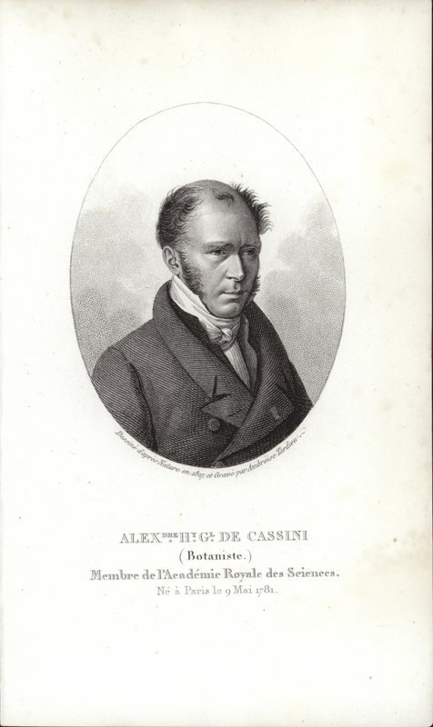 Henryk Cassini autorstwa French School