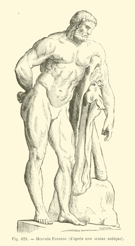Herkules Farnese (grafika) autorstwa French School