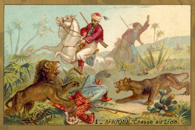 Polowanie na lwa w Afryce (chromolitho) autorstwa French School