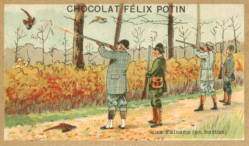 Bażant myśliwski (chromolitho) autorstwa French School