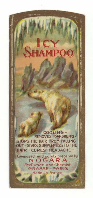 Icy Shampoo Label, Nogara autorstwa French School