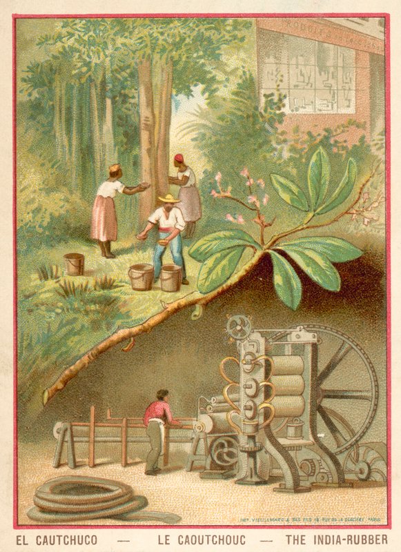 Kauczuk indyjski (chromolitho) autorstwa French School