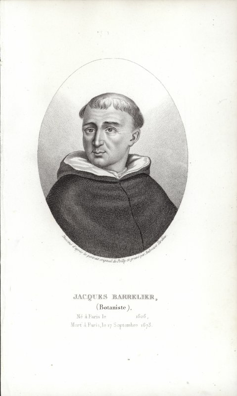 Jaques Barrelier autorstwa French School