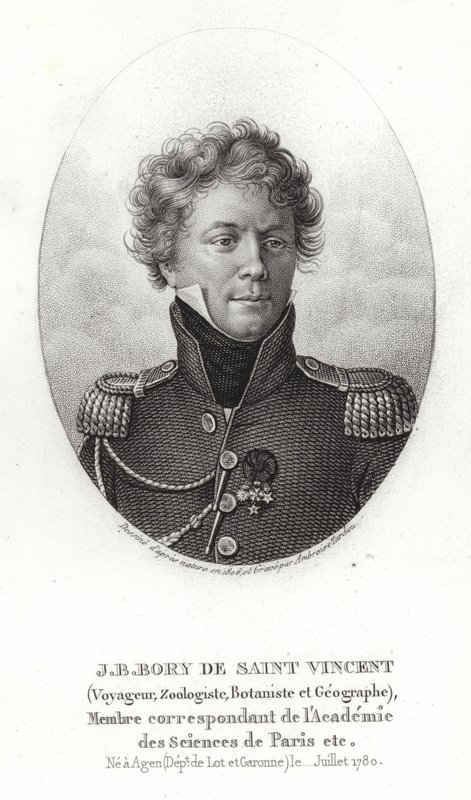 Jean-Baptiste Bory z Saint-Vincent autorstwa French School