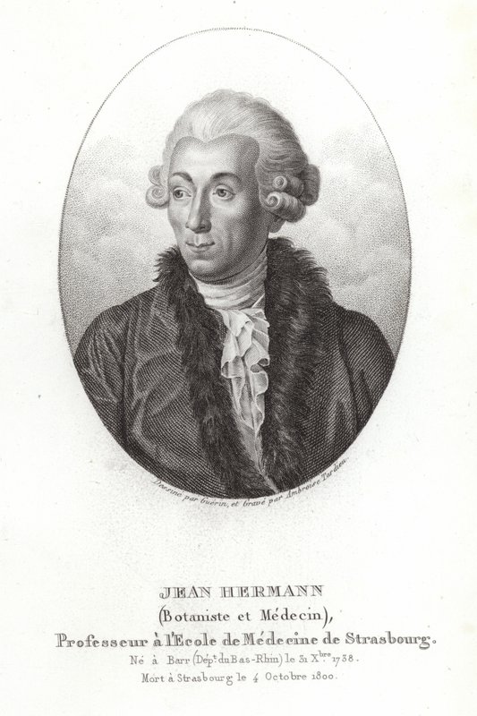 Jean Hermann autorstwa French School